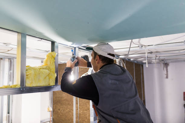 Best Commercial Insulation in Forest Hill, TX
