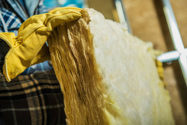 Types of Insulation We Offer in Forest Hill, TX