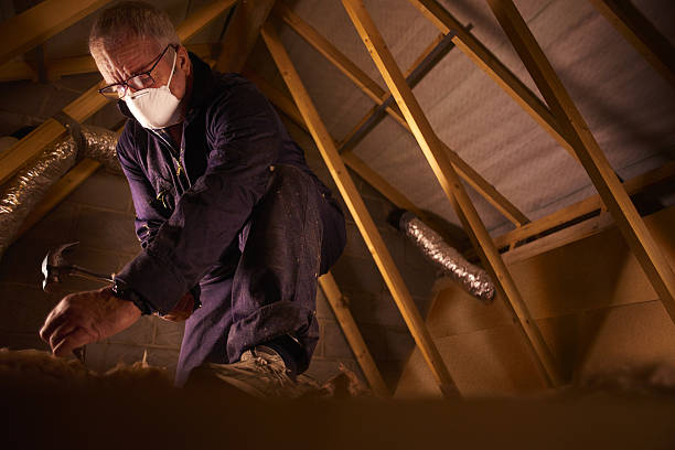 Best Specialized Insulation Services in Forest Hill, TX